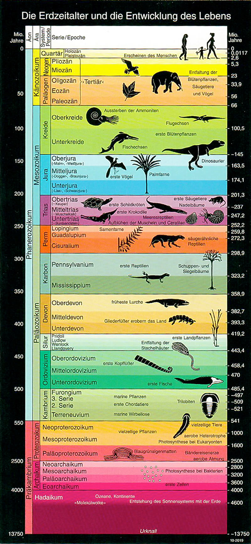 Schema der Erdzeitalter mit Angaben zu wichtigen Phasen in der Entwicklung des Lebens auf der Erde